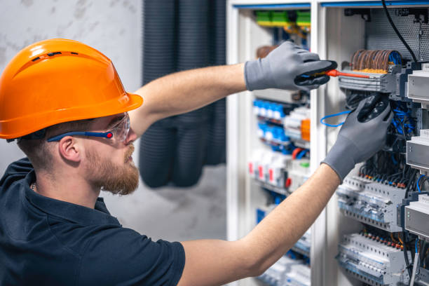 Best Electric Panel Repair  in Mmaduke, AR